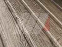 Winchester Novinka 2025